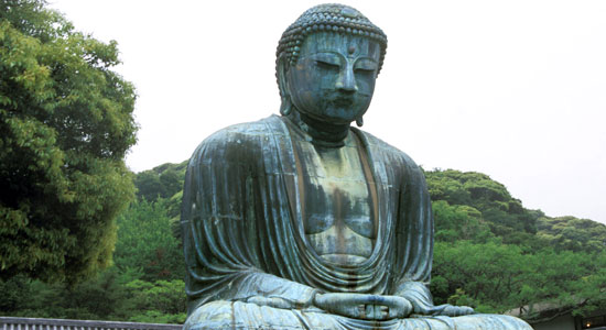 buddah5502