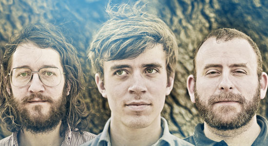 yellow ostrich via magnet magazine