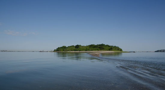 BumpkinIsland